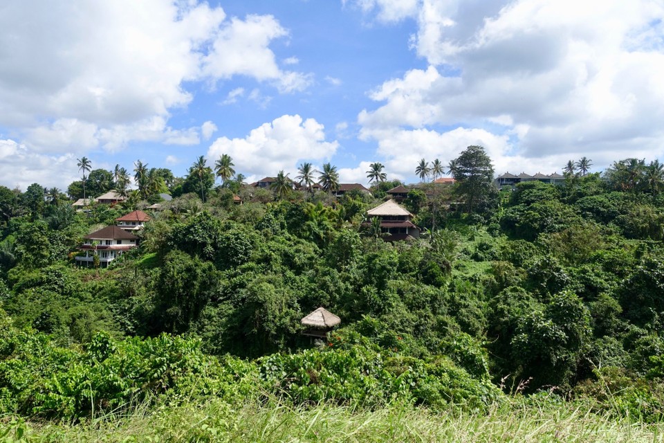 Indonesia - Ubud - 