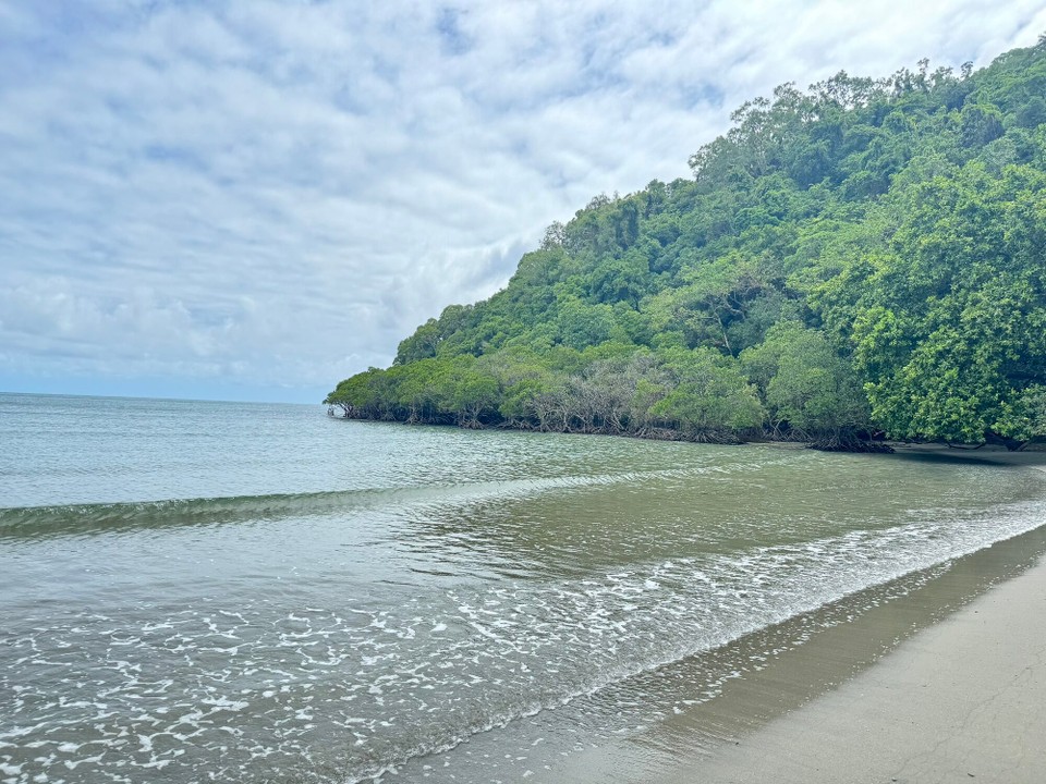 Australien - Fishery Falls - Mangroven am Kulki Beach