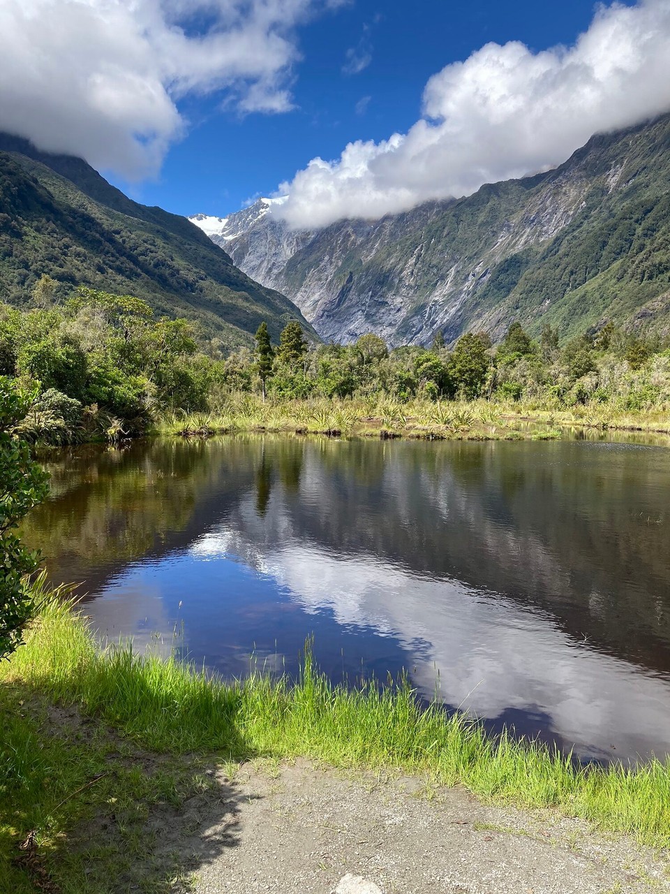 Neuseeland - Westland National Park - Peter‘s Pool