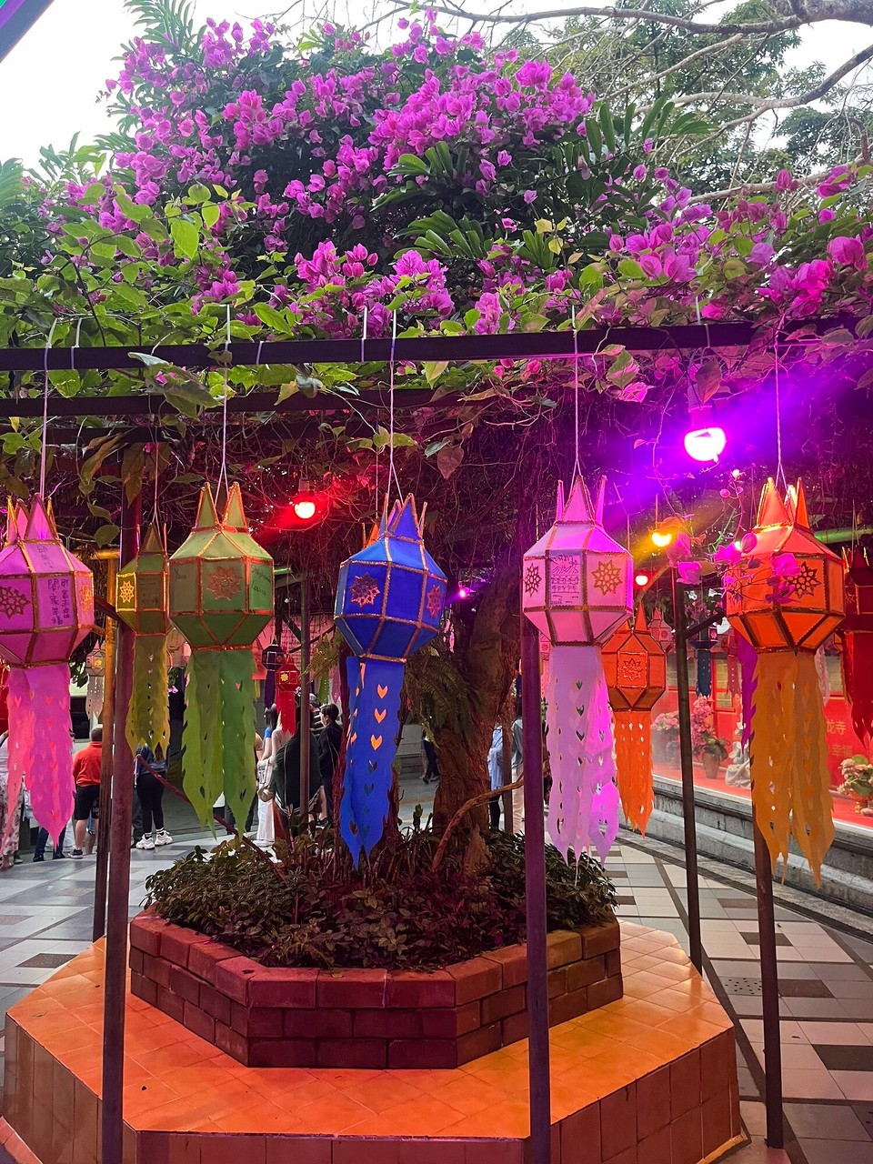 Thailand - Mueang Chiang Mai - 