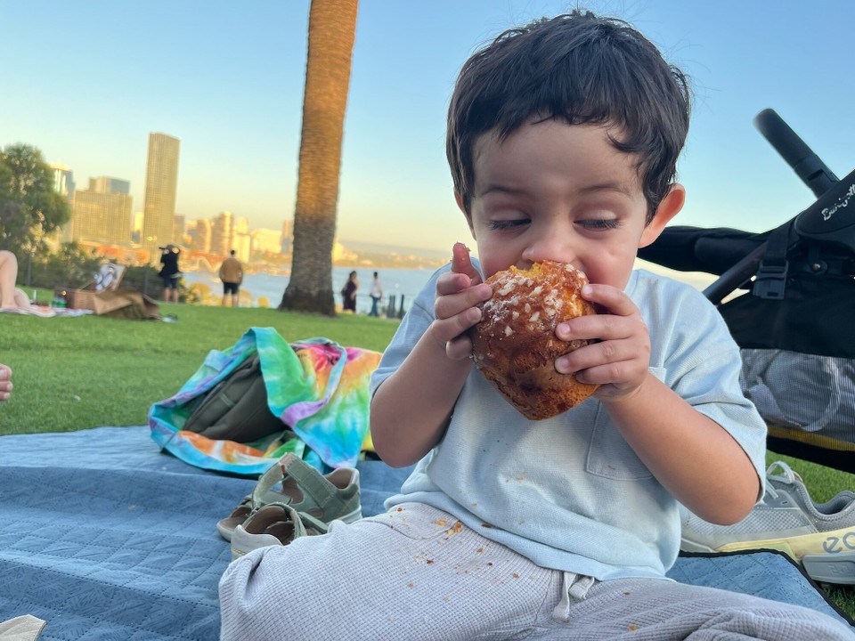 Australien - Kings Park - …und Muffins für die anderen.
