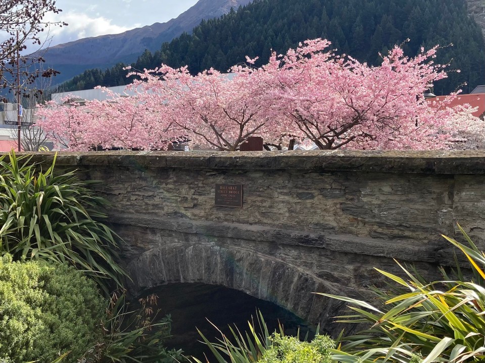 Neuseeland - Queenstown-Wakatipu Ward - 