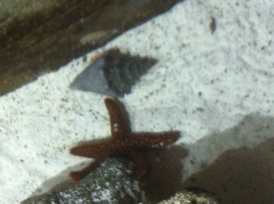 Egyesült Államok - Key West - 