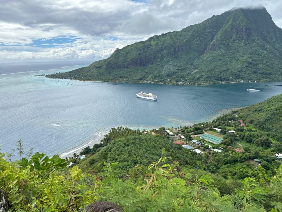Französisch-Polynesien - Moorea-Maiao - Inselrundfahrt mit dem Scooter Kleine Wanderung 200 CFP Eintritt Magic Mountain erklommen und Bild von oben auf Opunohu Bay