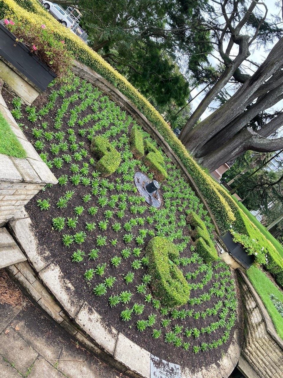 Neuseeland - Auckland - Botanische Uhr