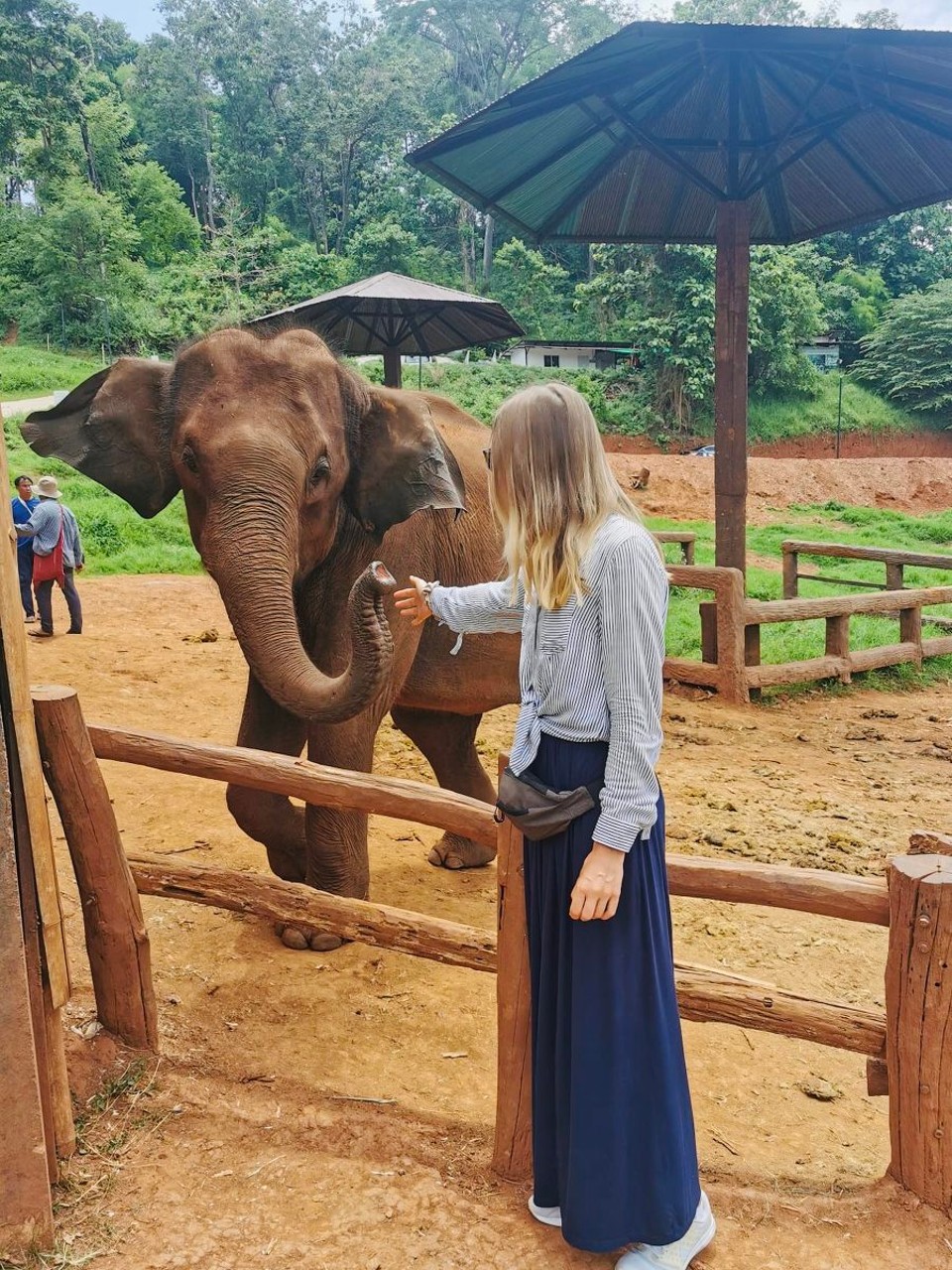 Thailand - Chiang Mai - 