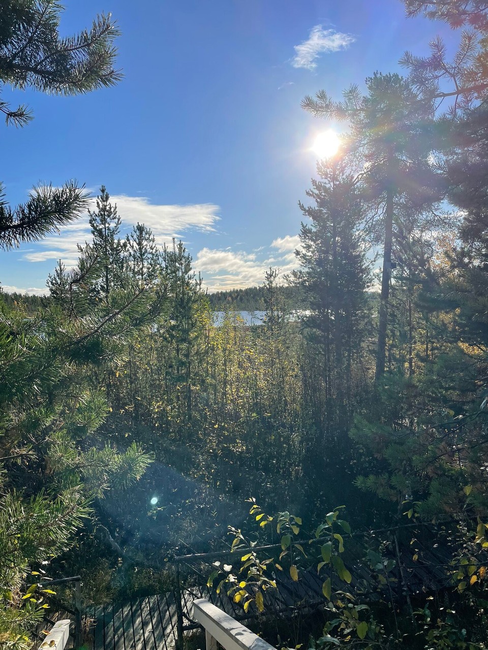 Finnland - Ivalo - Die Sonne trügt, denn es ist kalt geworden in Lappland 