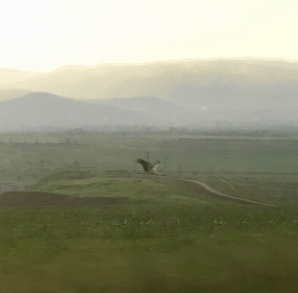 Israel - Bet Sche'an - 