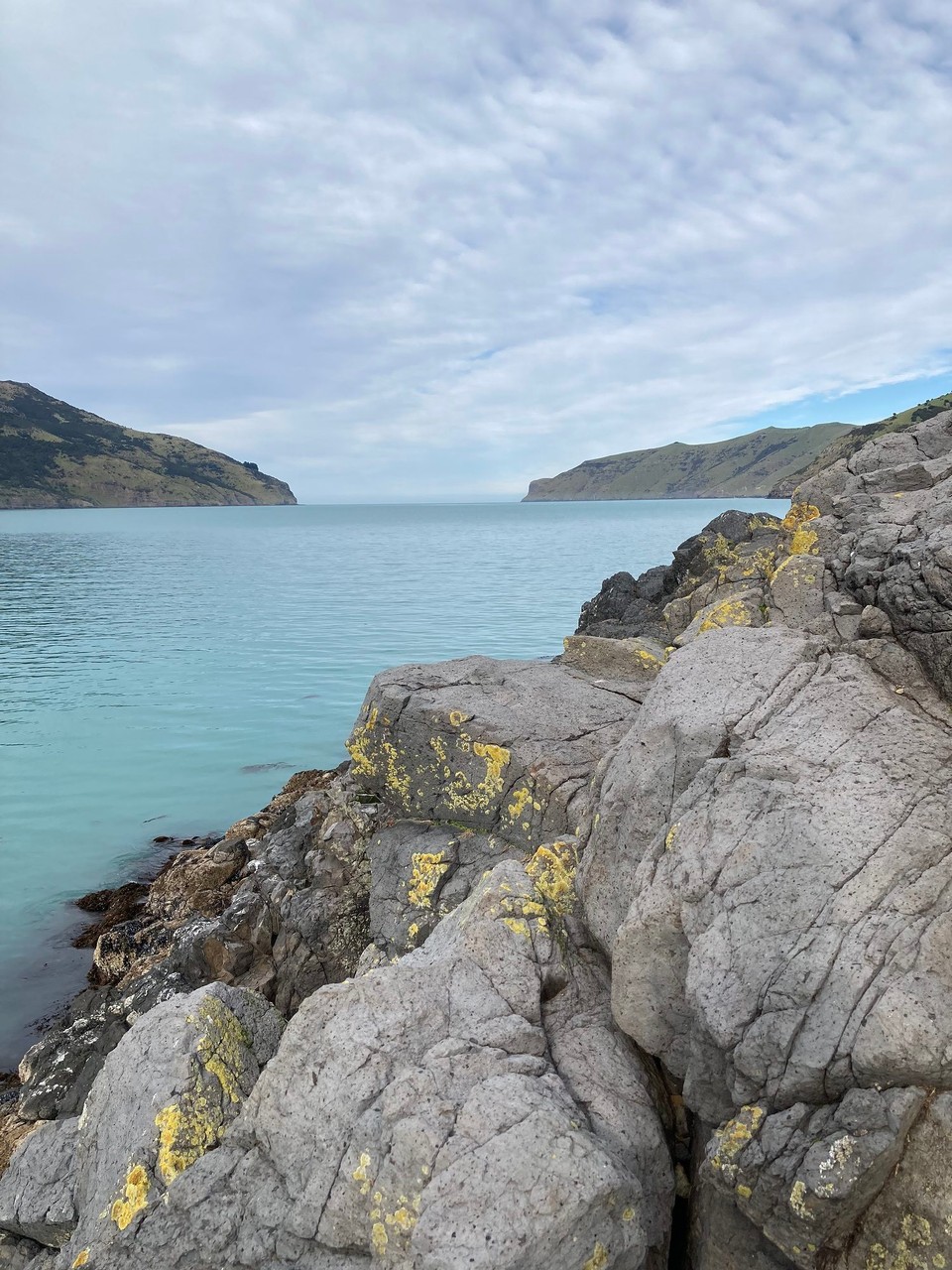 Neuseeland - French Farm - 