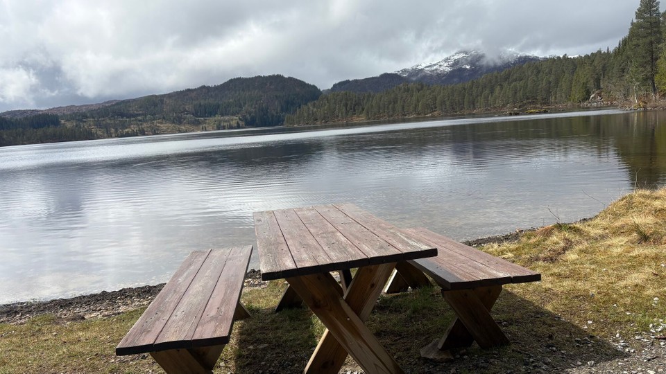 Norwegen - Førde - …tolle Picknickplätze…