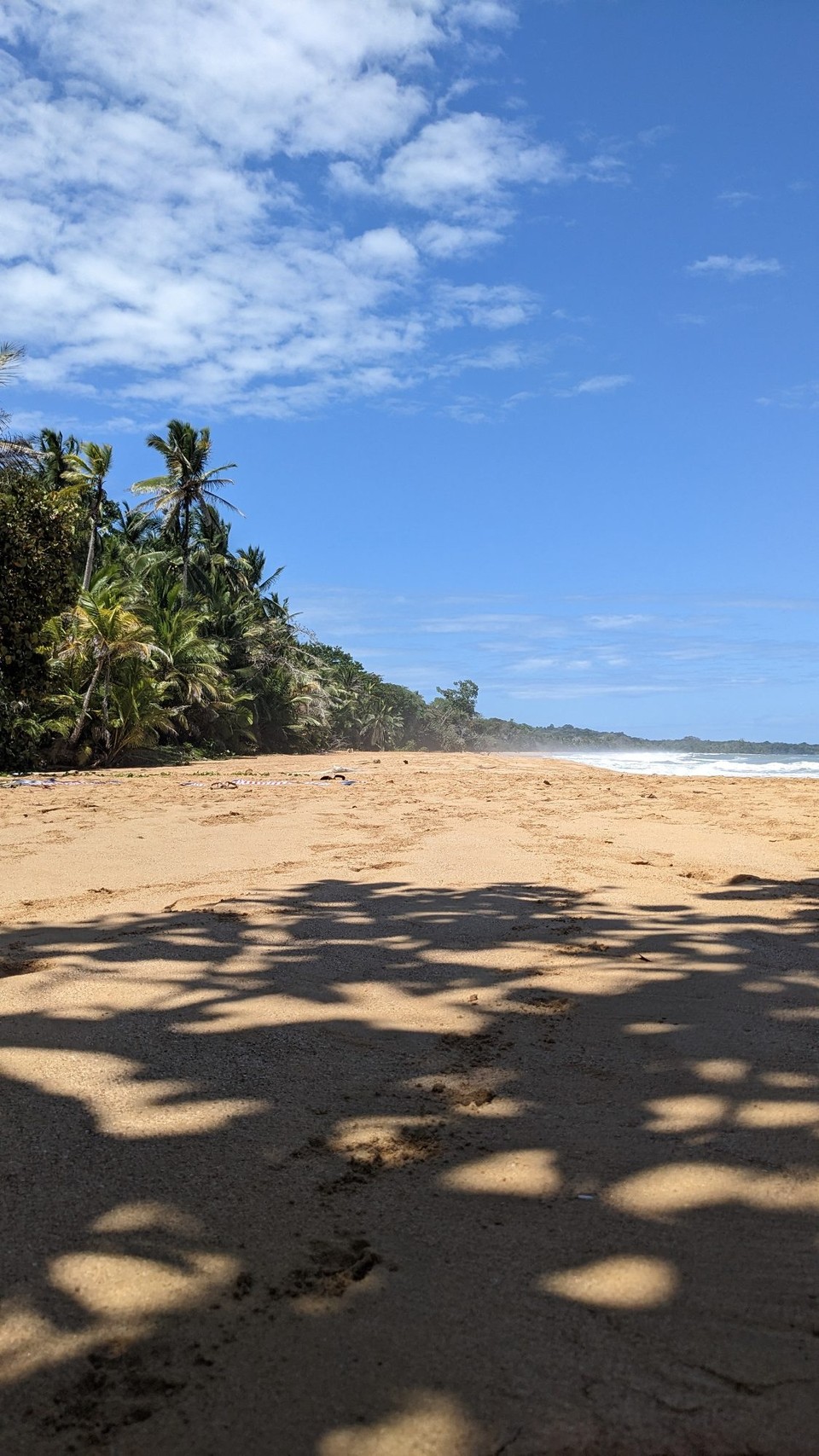 Panama - Playa Bluff - 