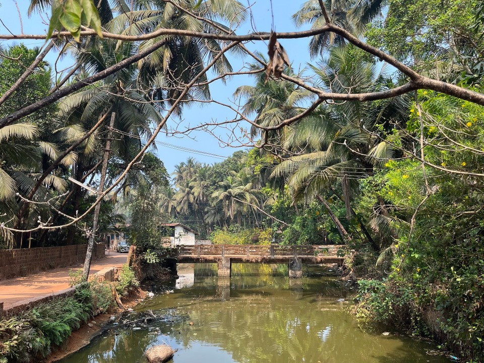 Indien - Gokarna - Countryside