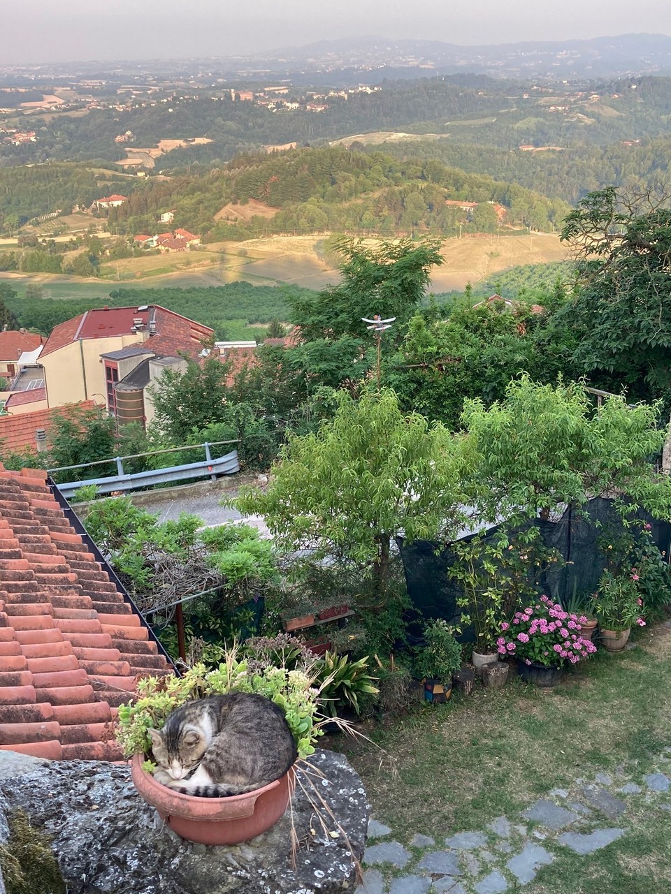 Italien - Albugnano - Ausblick beim Morgenspaziergang