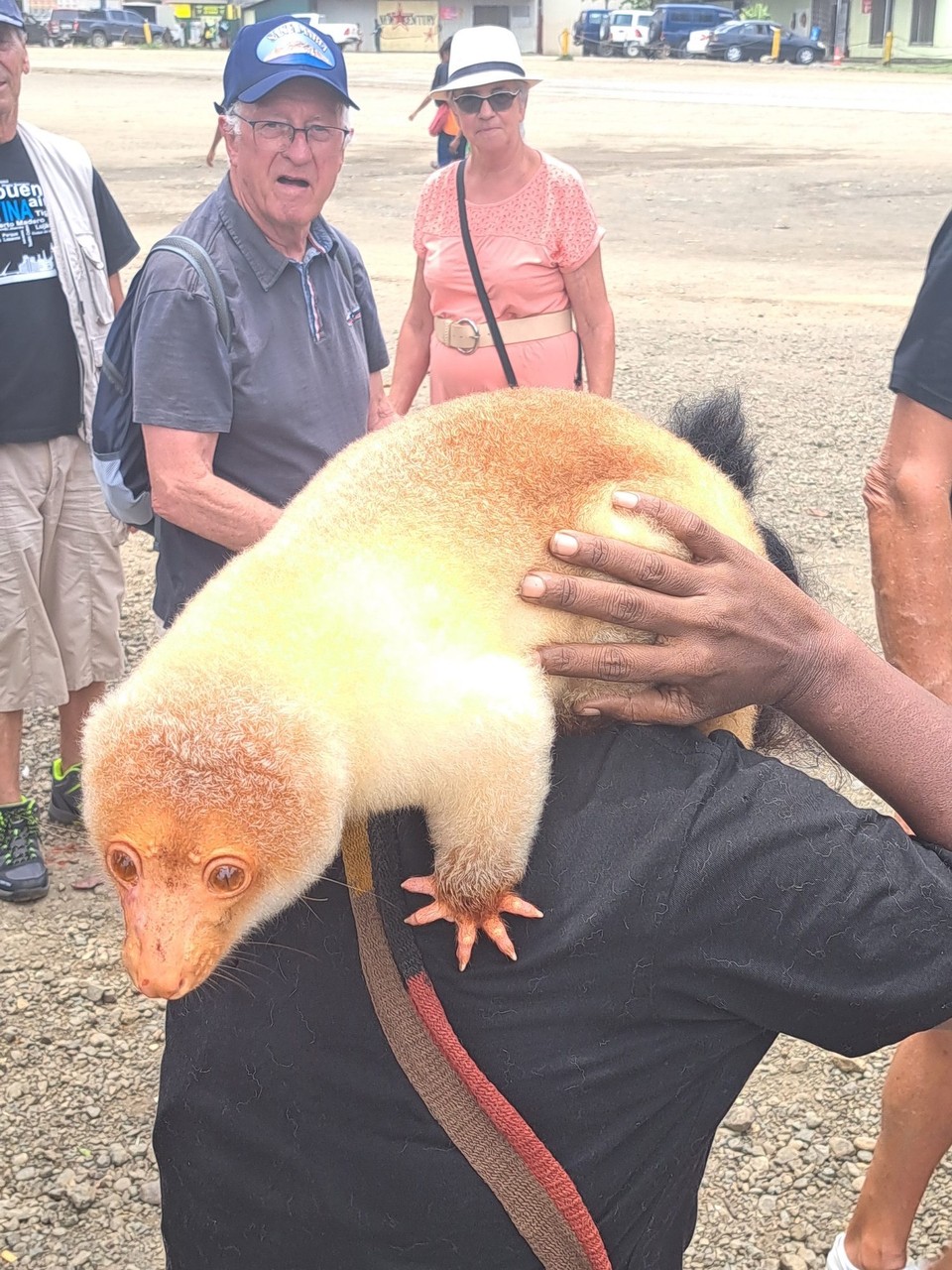 Papua-Neuguinea -  - 