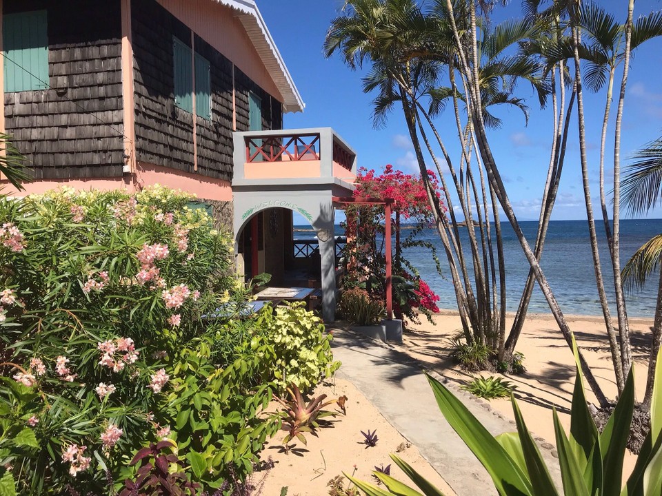Dominica -  - 
