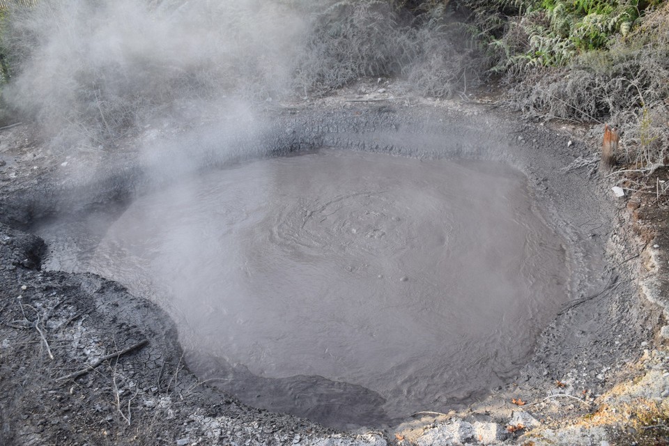 Neuseeland - Rotorua - 
