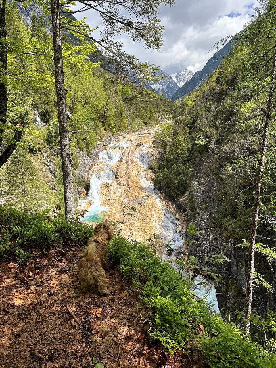 Österreich - Scharnitz - 