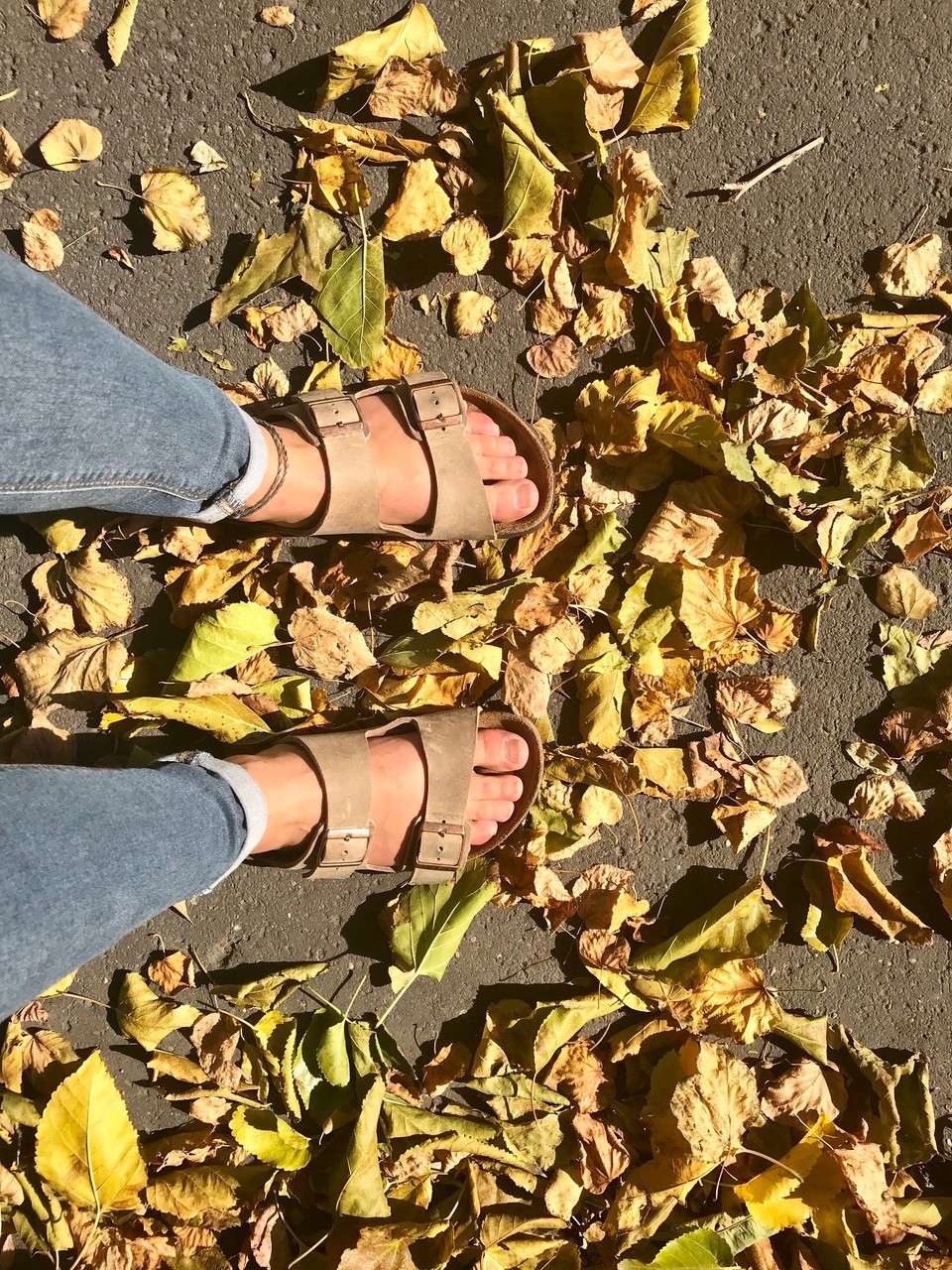 Ungarn - Budapest XI. kerület - Beste Grüße an die Klimaerwärmung | 21.10. | Budapest | 24 Grad | Purer Sonnenschein ☀️ | Fall is calling