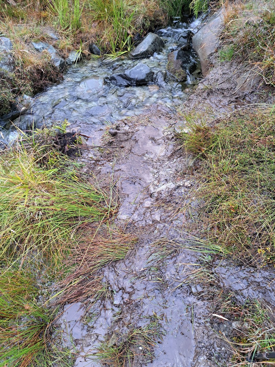 Neuseeland - Mavora Lakes - Überall fliesst das Wasser 