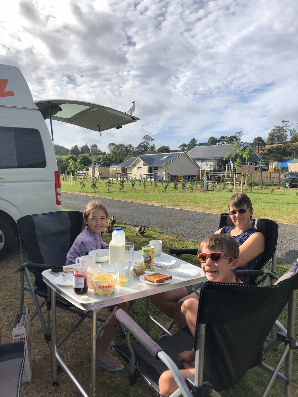 Neuseeland - Waiau - Gemütlicher Morgen in Cooks Beach mit Enten- und Möwenbesuch.