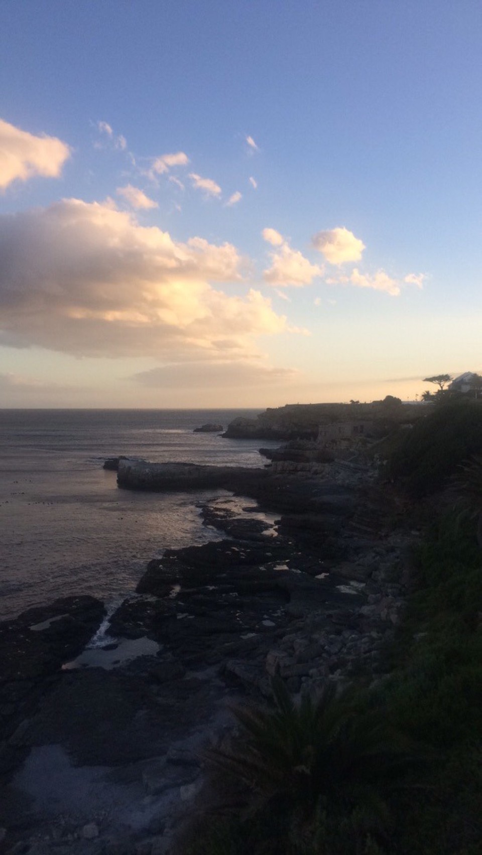 Südafrika - Hermanus - 