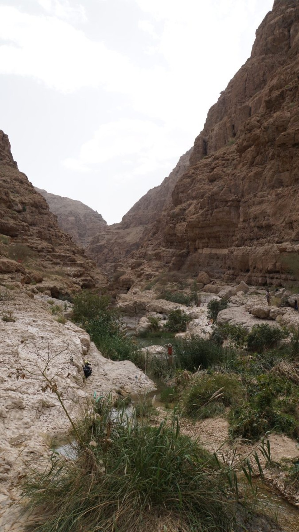 Oman -  - 