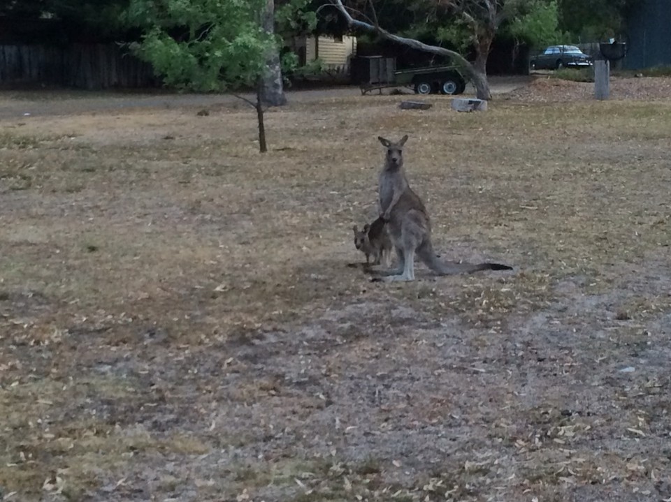 Australien -  - 