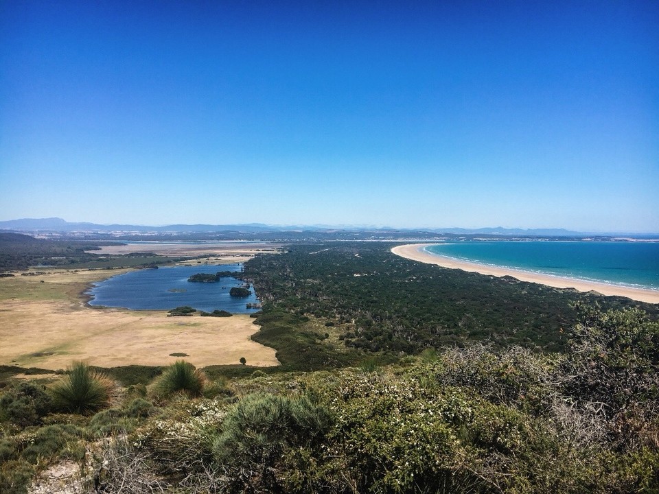 Australien -  - Das da hinten links ist der Campground und die Wiese, wo die Kängurus am Abend zuvor rumliefen 