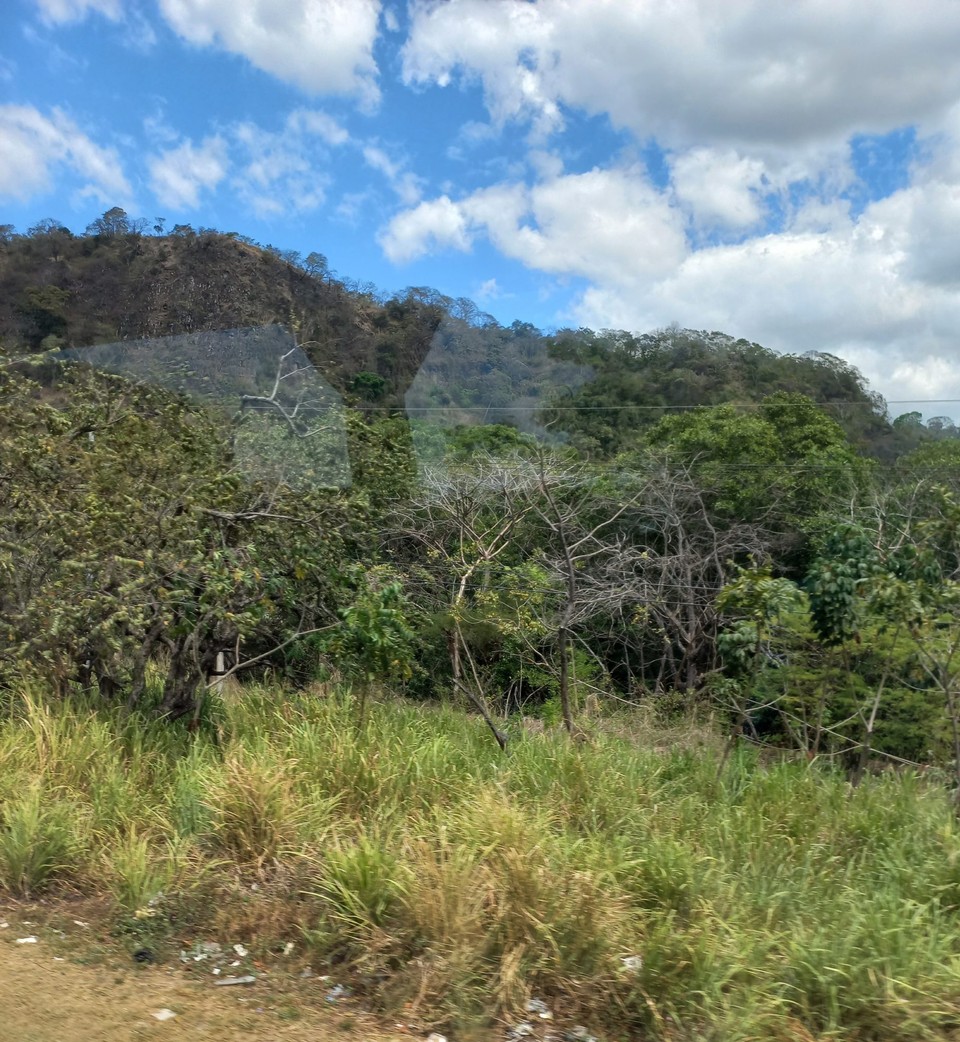 Costa Rica - Puntarenas - 