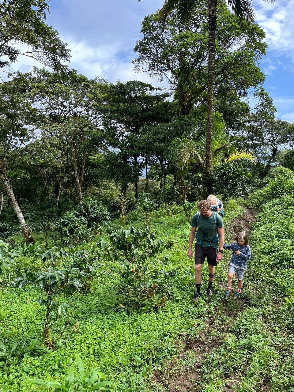 Panama - Santa Fé - ☕️ 