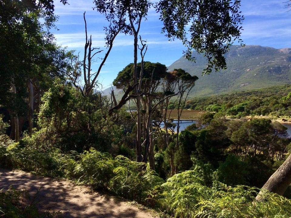 Australia - Tidal River - Hike view. 