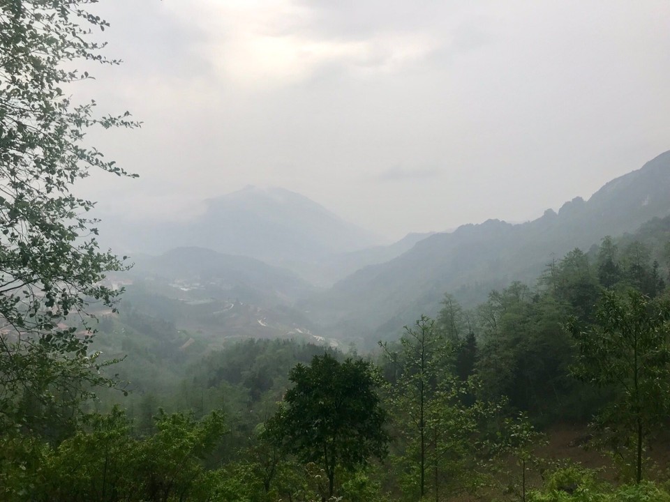 Vietnam - H. Sa Pa - 
