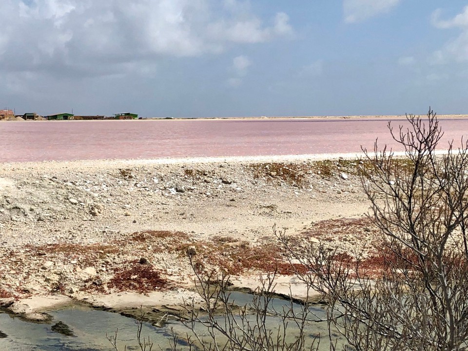 Bonaire, Sint Eustatius und Saba -  - Salzgewinnung