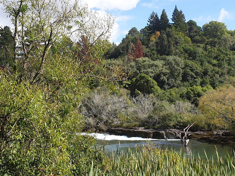 Neuseeland - Taupo - 