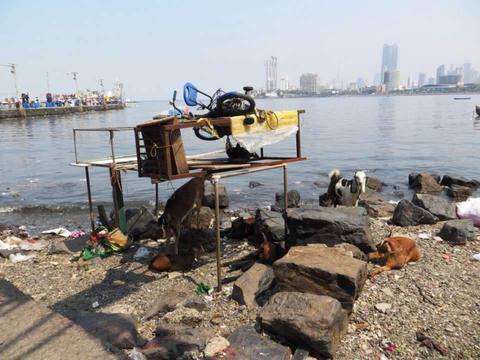 Indien - Haji Ali Mosque  - 