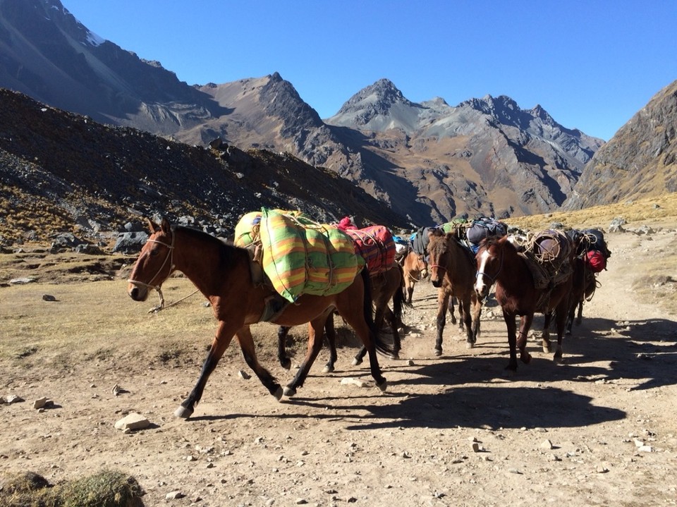 Peru -  - Da läuft die Ausrüstung und das Essen :)