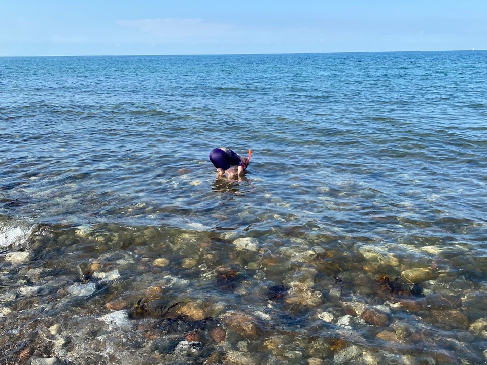 Deutschland - Fehmarn - Tauchen à la Fiona