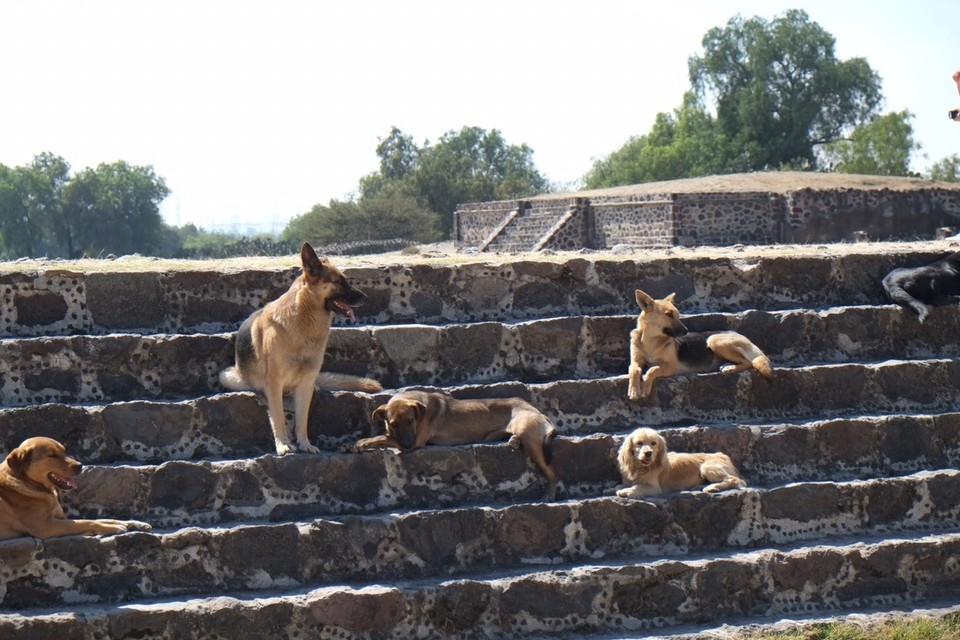 Mexiko - Teotihuacán - Die wahren Herrscher von Teotihuacán 