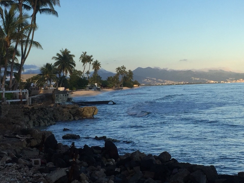Vereinigte Staaten - ʻEwa Beach - Im Garten von unserer Unterkunft 