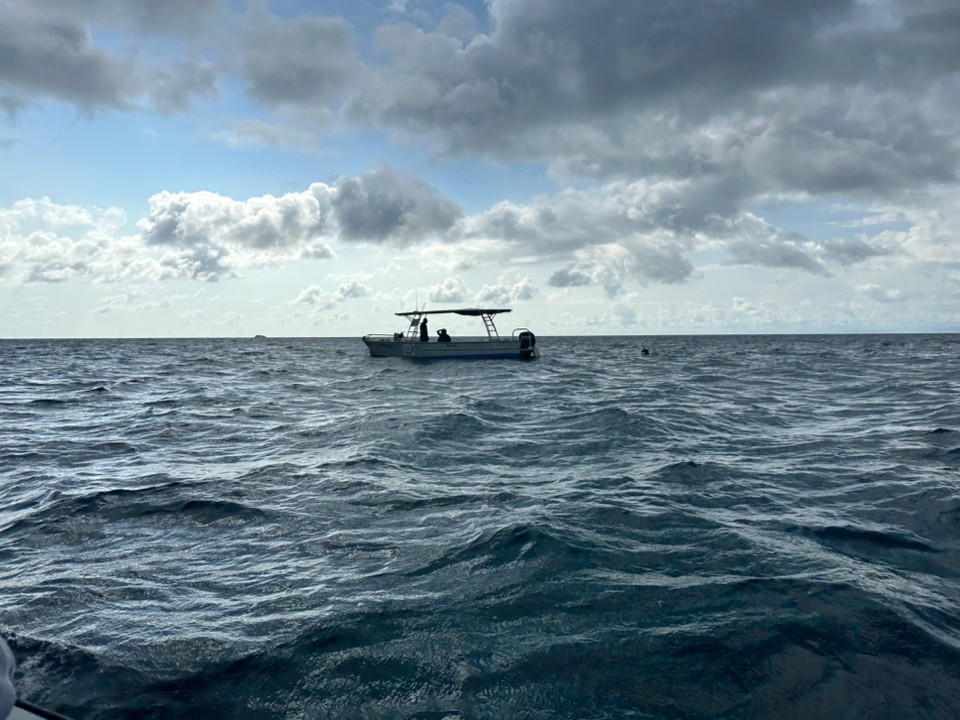 Fidschi - Yalobi - 4 White Tip reef Sharks ca 1m lang werden von Jack angefüttert und schwimmen an mir unmittelbar vorbei, anfangs war das ein ungewohntes Gefühl. Auf der Rückfahrt beginnt es heftig zu regnen und ich bin nicht sicher, ob unsere Guides immer die richtige Richtung hatten. Als Sicht aufkam, drehen wir 90