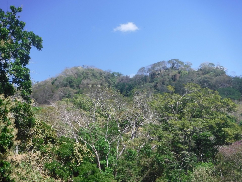 Costa Rica -  - 