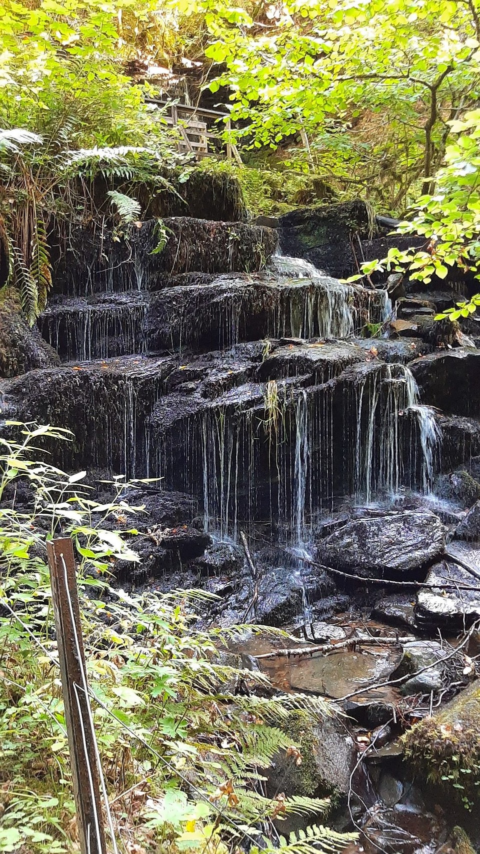Vereinigtes Königreich - Aberfeldy - 