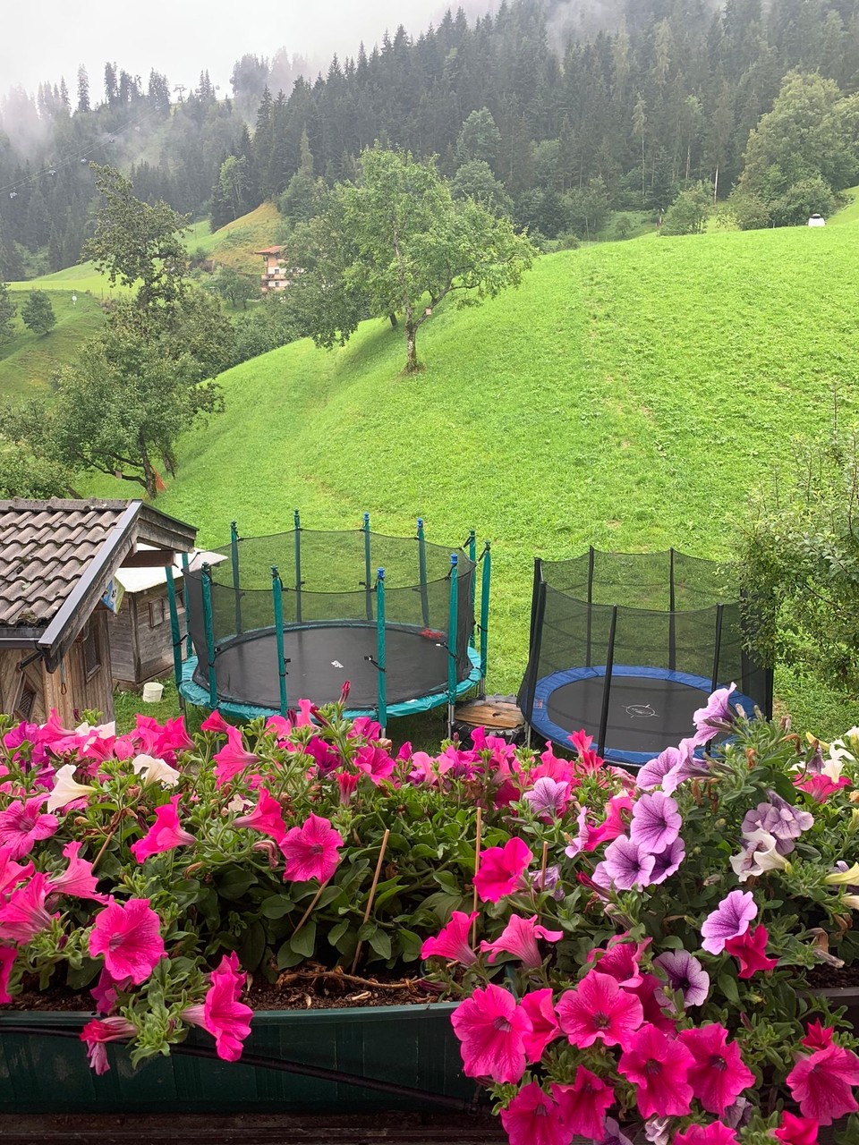 Österreich - Söll - 