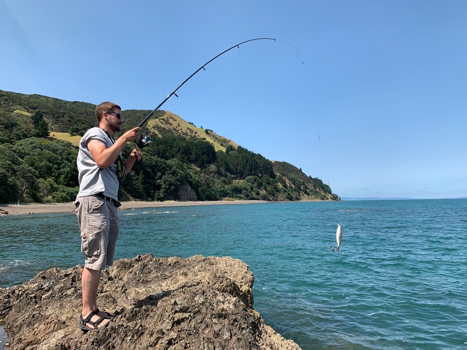 Neuseeland - Amodeo Bay - 