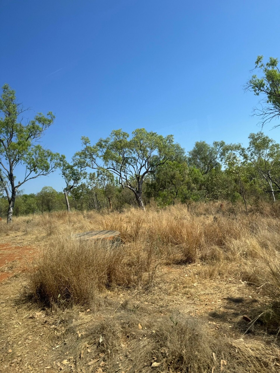 Australien - Forsayth - 