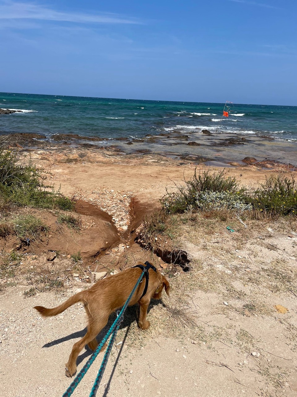 Italien - Alberobello - Ein Tag am Strand 