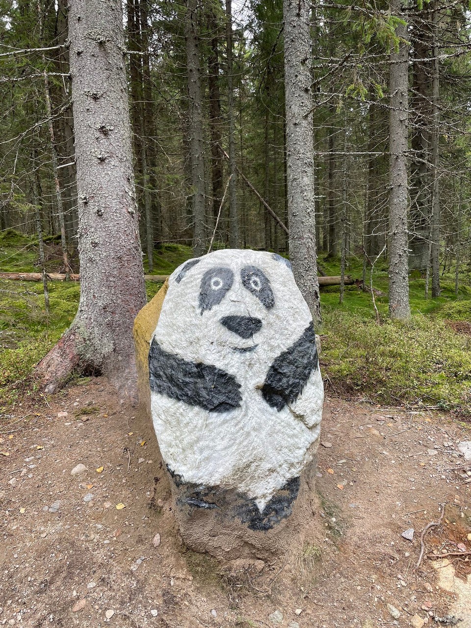 Finnland - Mustajärvi - Gefährliche Tiere im Wald 