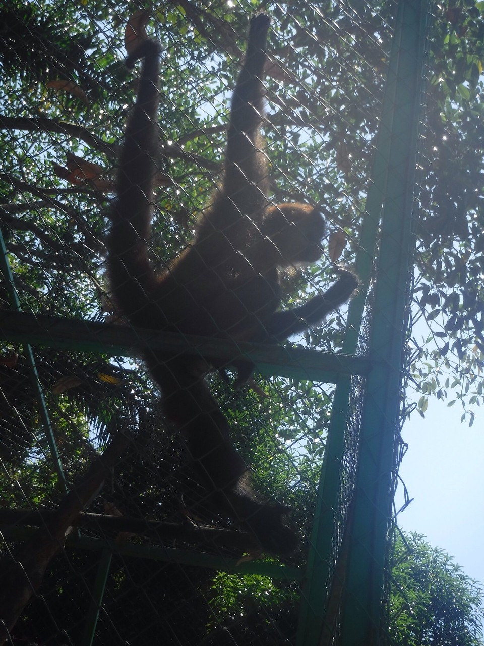 Costa Rica - Perez Zeledon - 