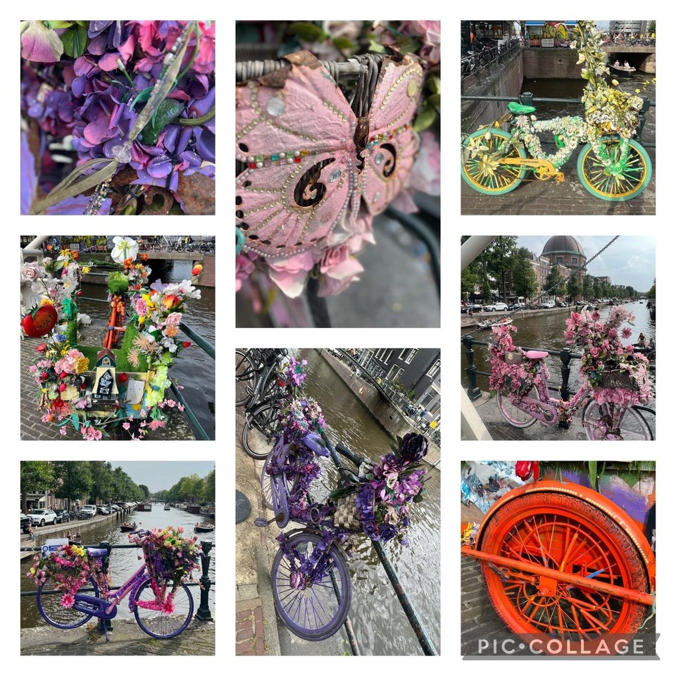Niederlande - Amsterdam - Gefunden. Die bunten Fahrrädern sind auf jeden Fall ein Hingucker! 
