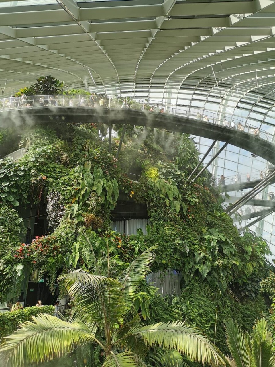 Singapur - Singapur - 